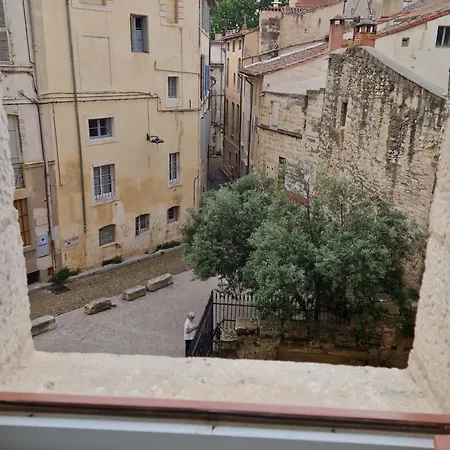 Alma - Au Coeur Du Palais Des Papes Avignon