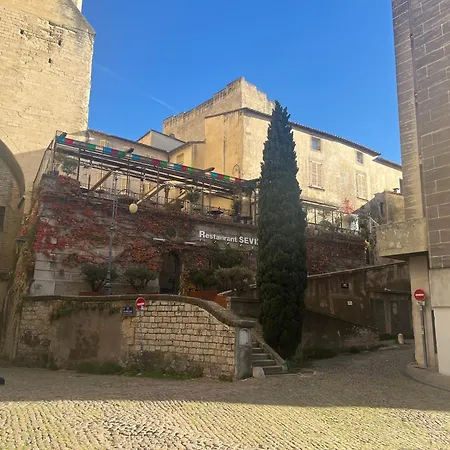 Alma - Au Coeur Du Palais Des Papes